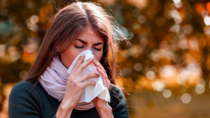 Allergy or Cold? That’s How You Tell!