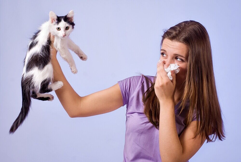 Cat Allergy: Symptoms and Treatment Options