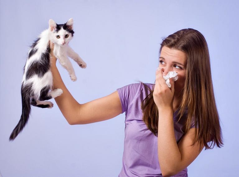Cat Allergy Symptoms and Treatment Options Women's Alphabet