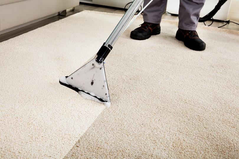 How to Clean a Carpet: Tips and Home Remedies | Women's Alphabet