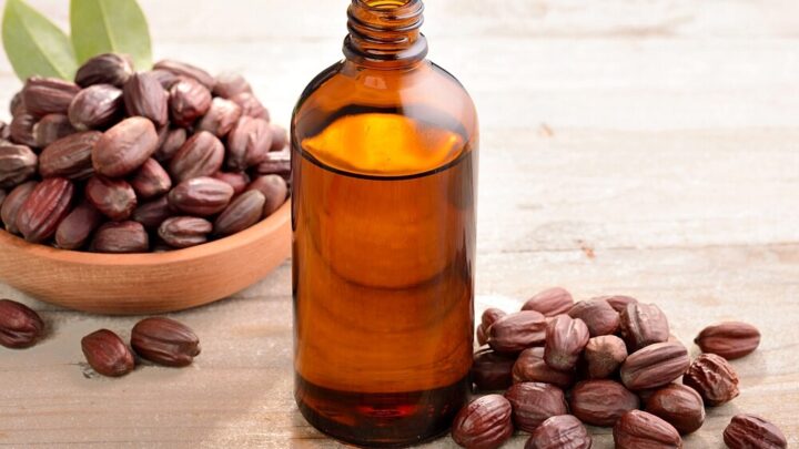 Jojoba Oil: Effect and Application for Skin and Hair