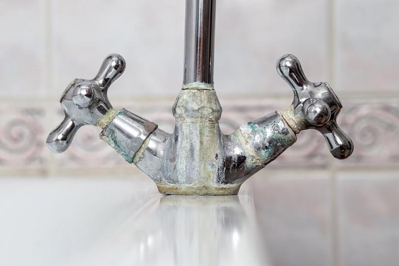 Limescale Removal The Best Home Remedies Women's Alphabet