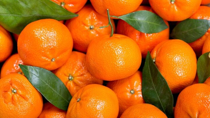 5 Good Reasons why You should Eat Mandarins Every Day