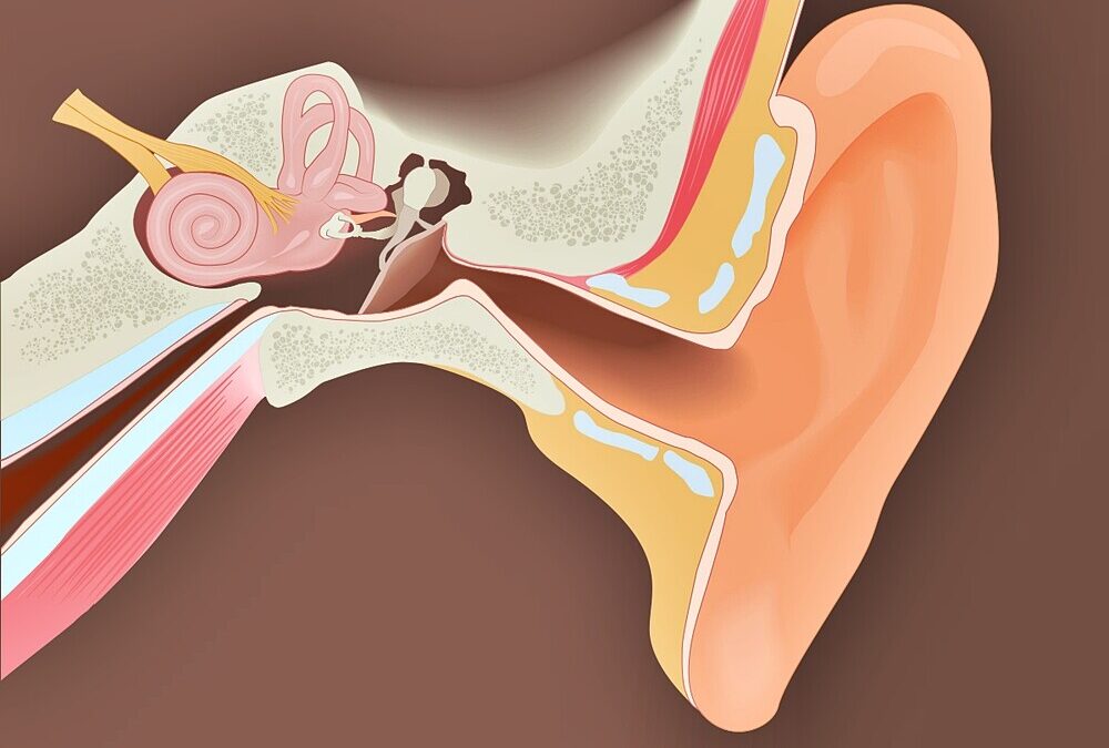 Middle Ear Infection: Home Remedies at a Glance
