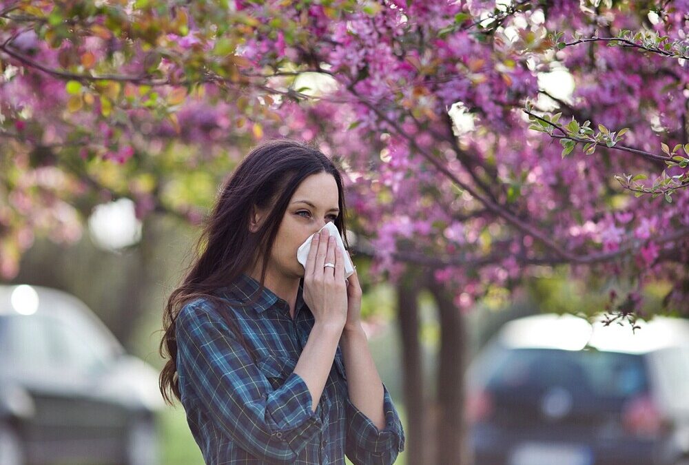 Pollen Allergy: All You Need to Know