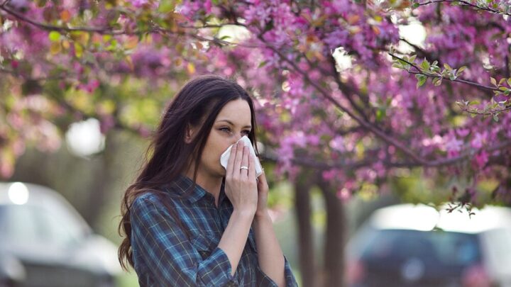 Pollen Allergy: All You Need to Know