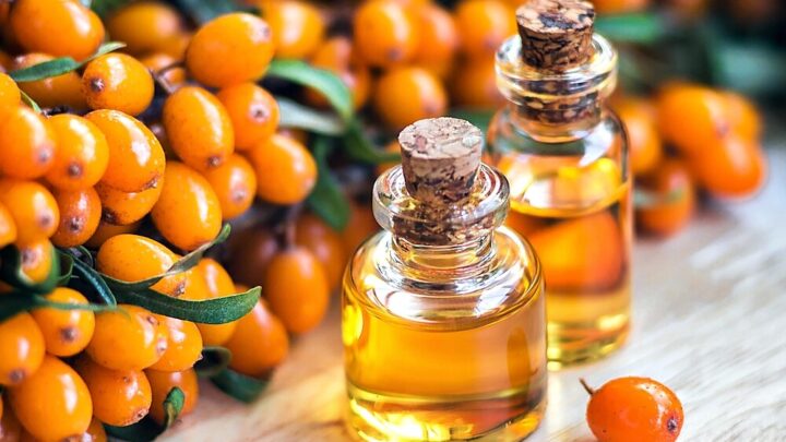 Sea Buckthorn Oil: Application, Effect and Tips