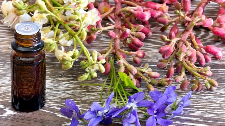 Benefits of Bach Flowers: More Than Just a Placebo?