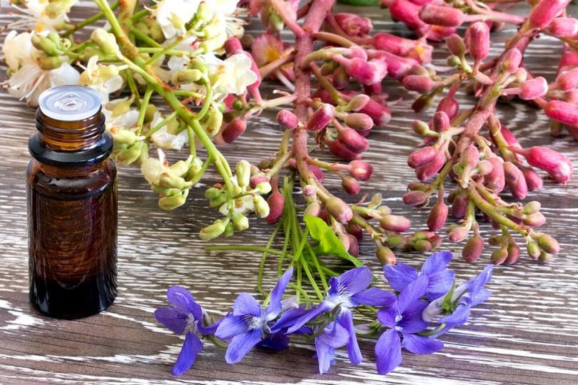 Benefits of Bach Flowers More Than Just a Placebo? Women's Alphabet