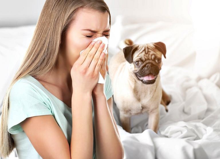 Dog Allergy Causes And Treatment Womens Alphabet