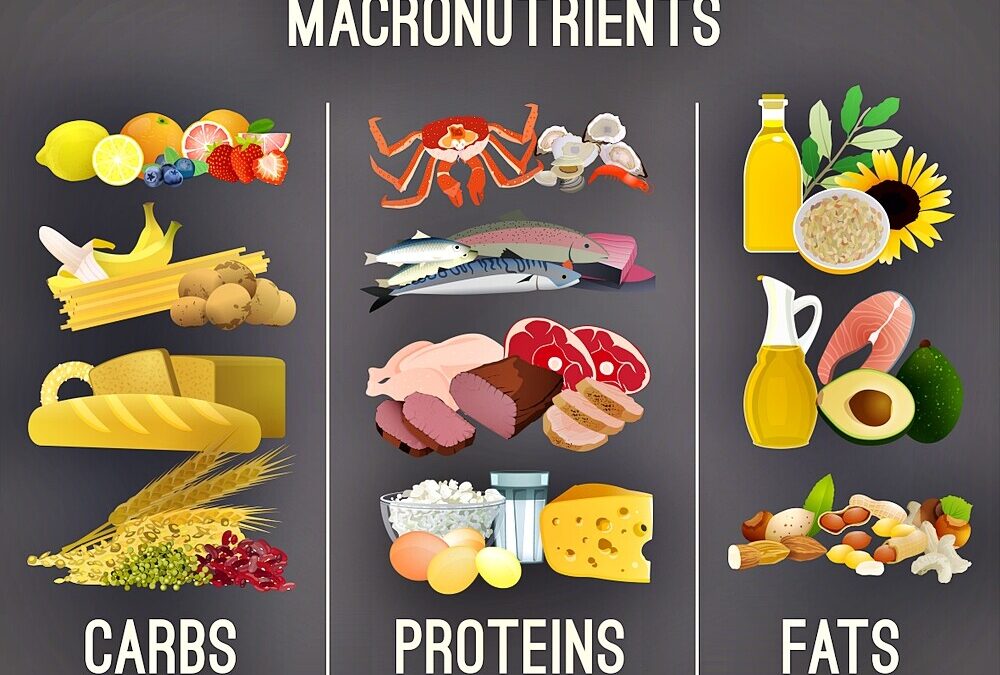 Macronutrients: The Basis of Our Nutrition!