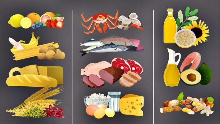 Macronutrients: The Basis of Our Nutrition!