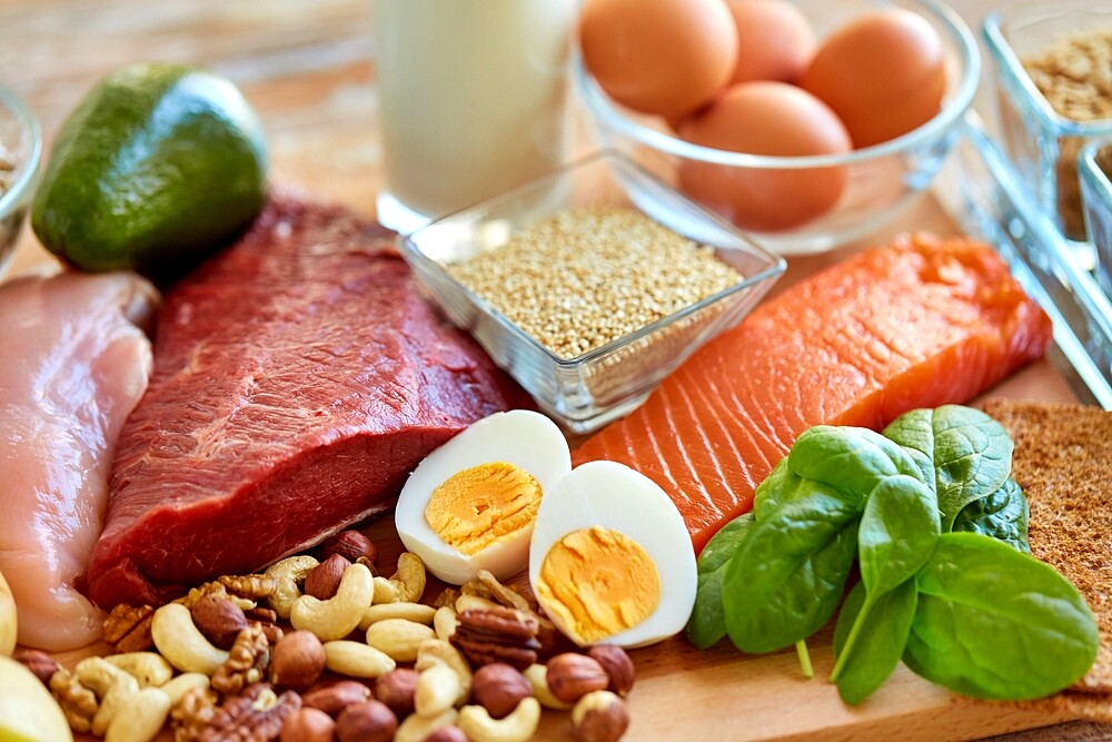 What Are Protein Rich Foods