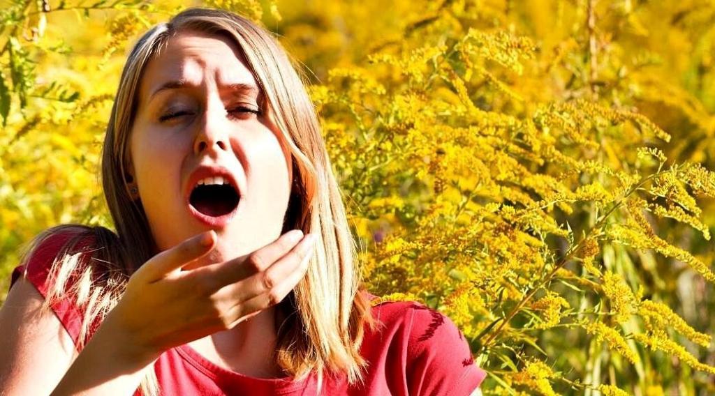 Ambrosia (Ragweed) Allergy Symptoms and Treatment