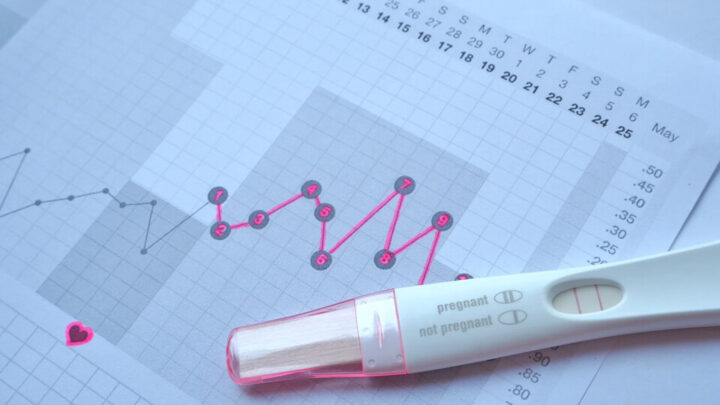 Basal Body Temperature: How to Recognize Your Fertile Days