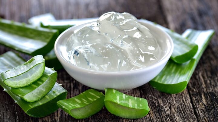 Homemade Aloe Vera Gel | DIY