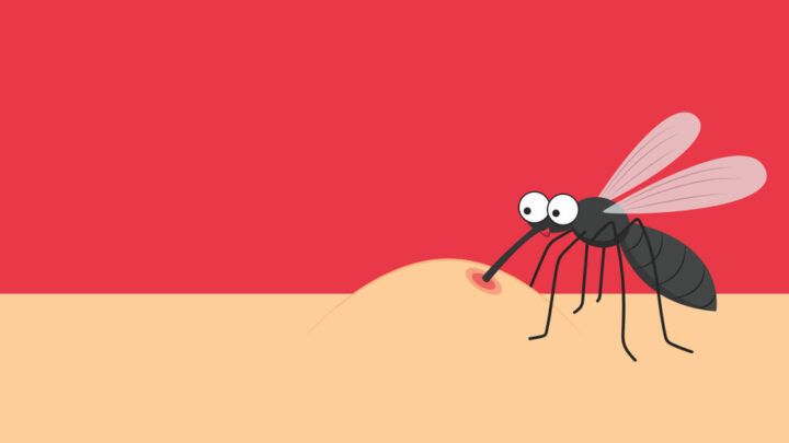 Why Mosquitoes Bite Some People More Than Others
