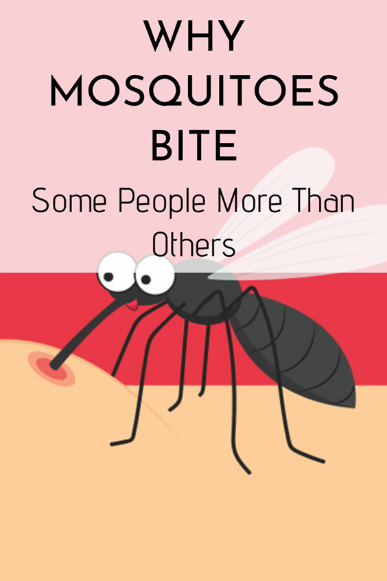 Why Mosquitoes Bite Some People More Than Others