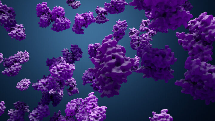Enzymes: Spark Plugs of The Body
