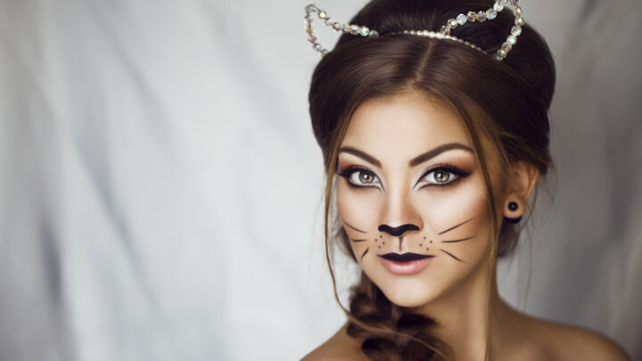 Easy Cat Makeup Ideas for Carnival