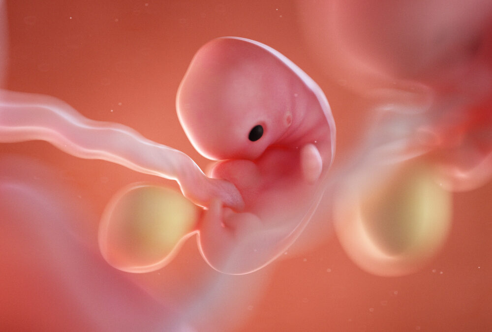 Babies Start to Feel Touch at 7 Weeks of Pregnancy
