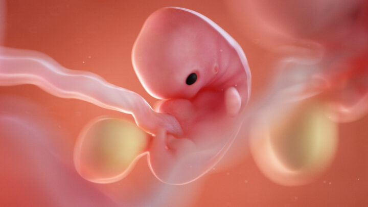 Babies Start to Feel Touch at 7 Weeks of Pregnancy