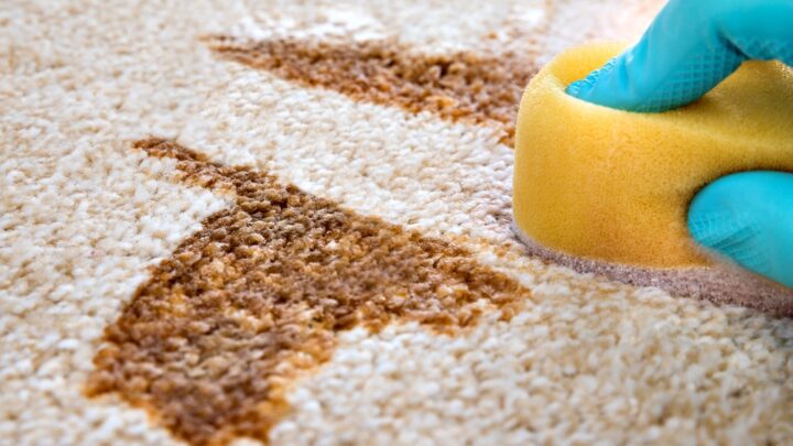 Tea Stain Removal – The Ultimate Guide
