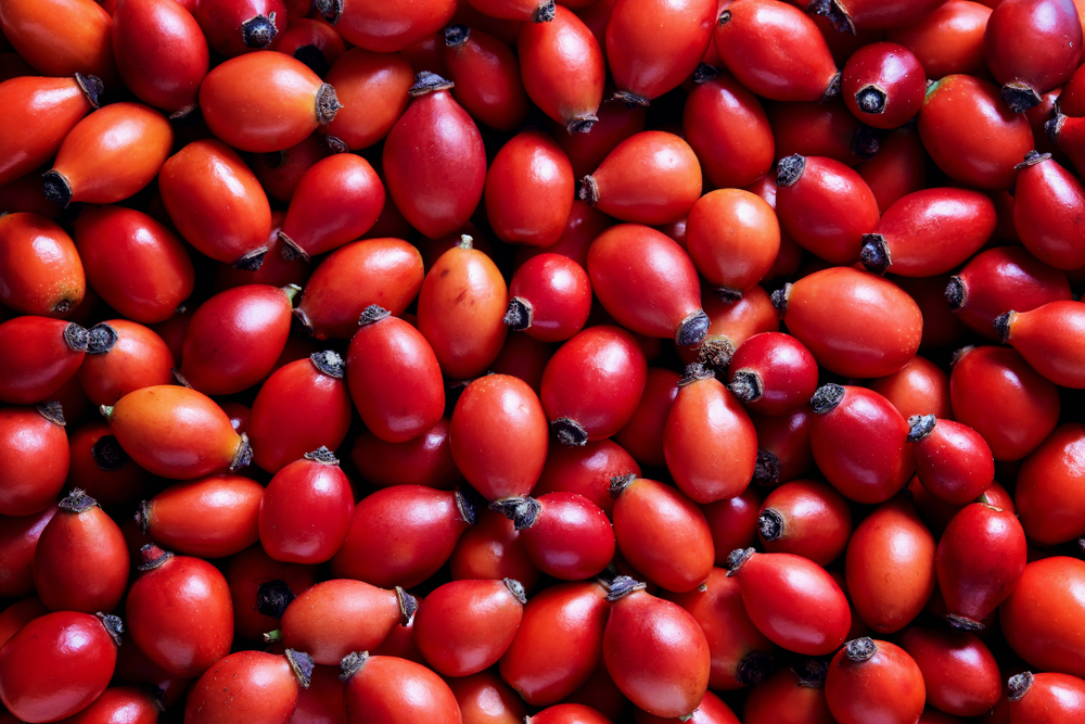 rosehip for freckles