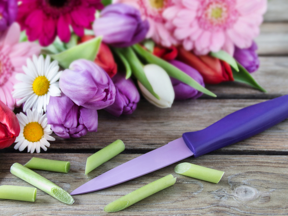 keep fresh cut flowers alive longer