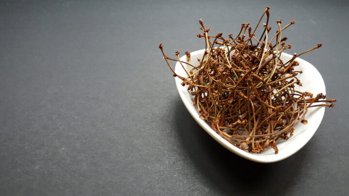 Health Benefits of the Sour Cherry Stems