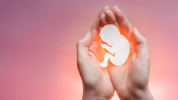 What to Expect After an Abortion