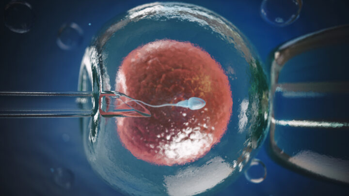 How Does Melatonin Affect Fertility?