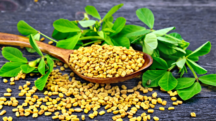 9 Wonderful Benefits Of Fenugreek You Must Know About