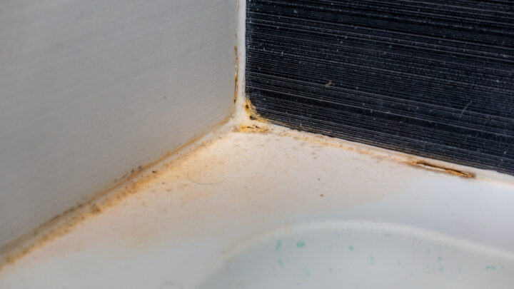 How to Remove Mold from Caulk