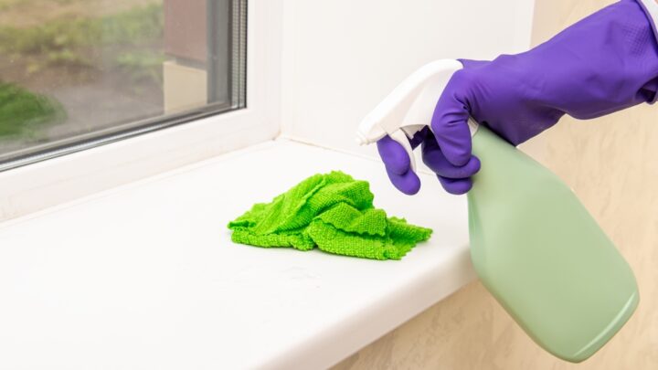 How to Keep Your Windowsill Clean and Tidy