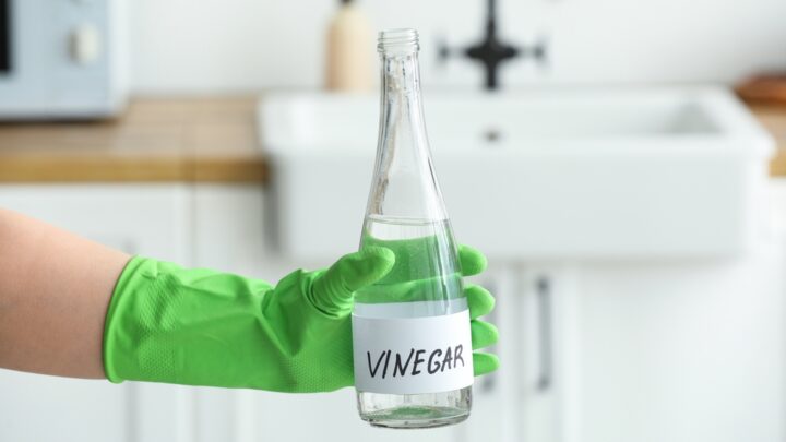 How to Use Vinegar for Various Cleaning Tasks