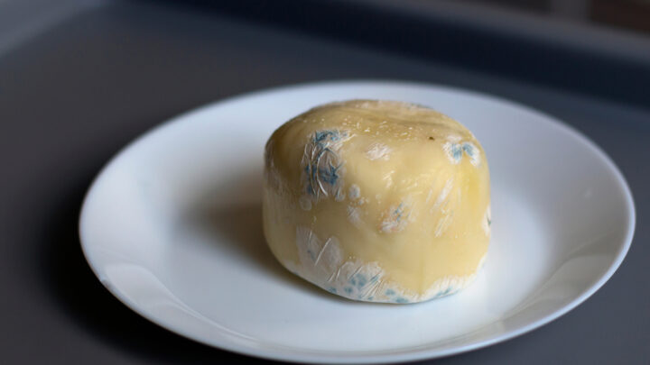 How to Keep Cheese from Molding