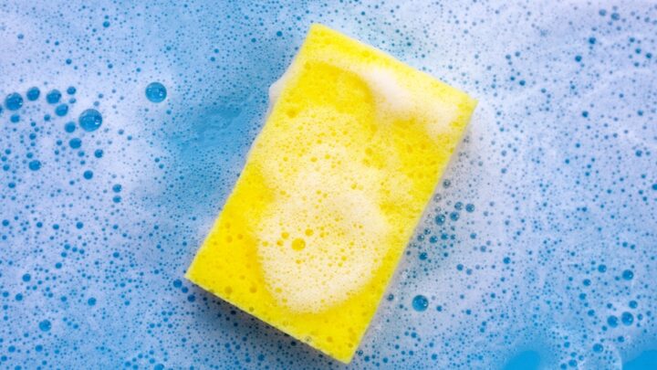 How to Clean and Disinfect Sponges in Seconds