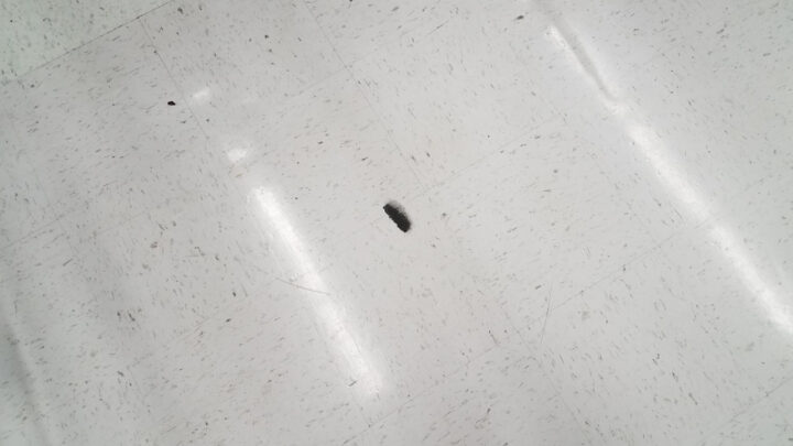 How to Remove Scuff Marks from Tile Floors