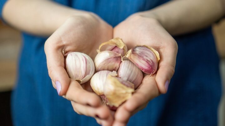 How to Get Rid of Onion and Garlic Smells on Hands