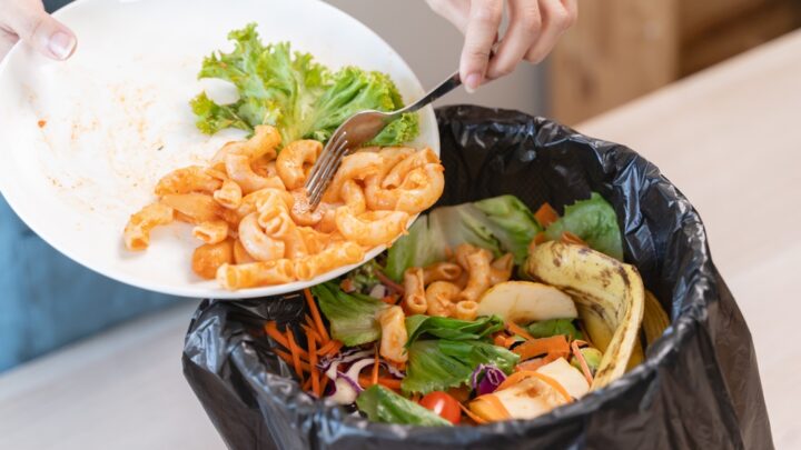 How to Store Leftovers to Prevent Food Waste