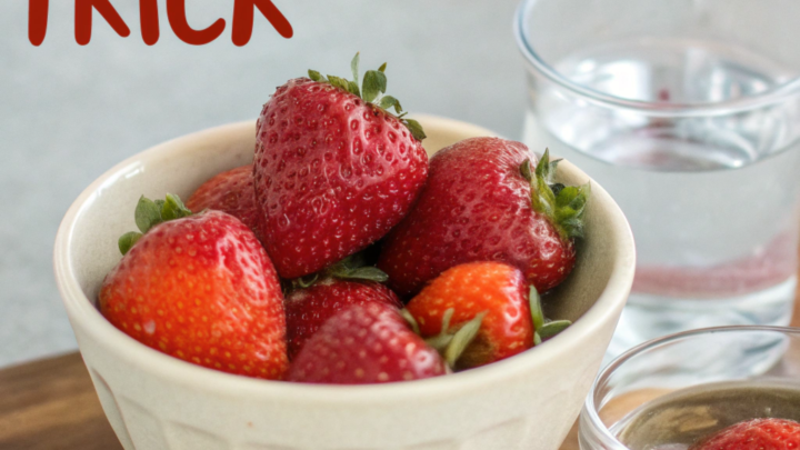 Fresh Strawberry Trick: The Secret to Keeping Strawberries Mold-Free