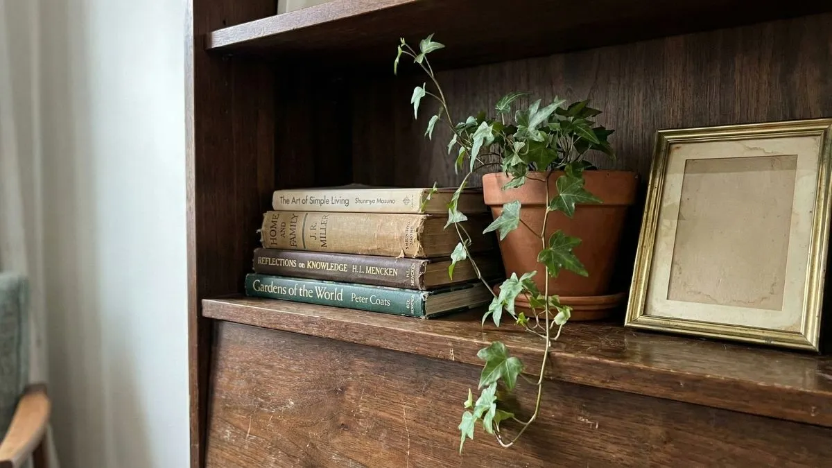 Close-up detail of a dark wood bookshelf styled with a stack of vintage hardcover books including 'The Art of Simple Living', a trailing ivy plant in a terracotta pot, and a brass picture frame.
