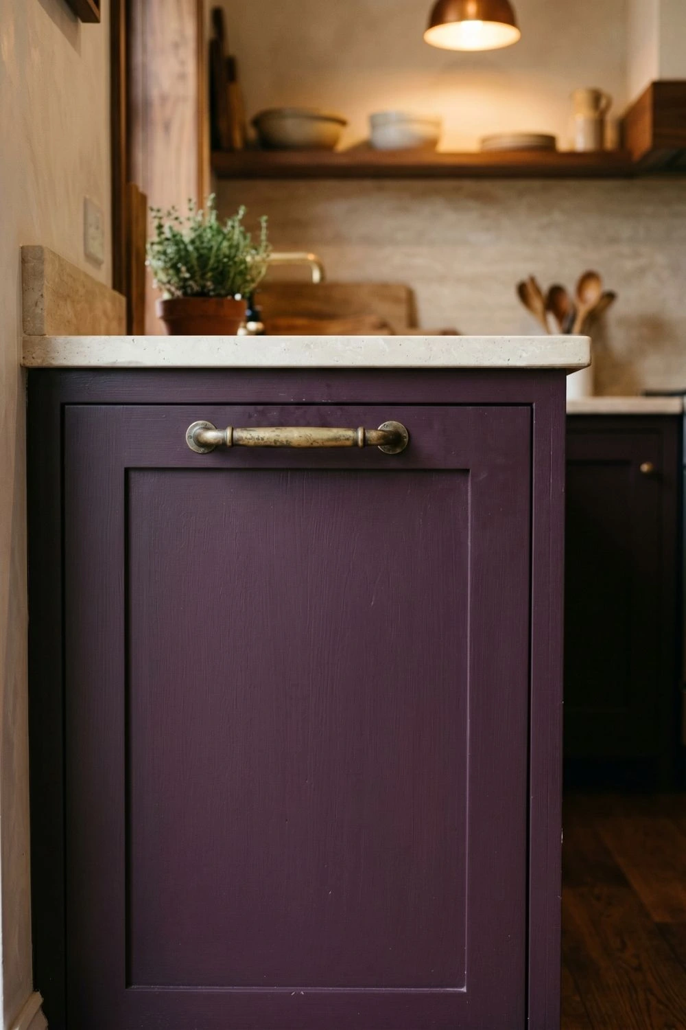 deep aubergine lower kitchen cabinet with antique brass handle and walnut shelving