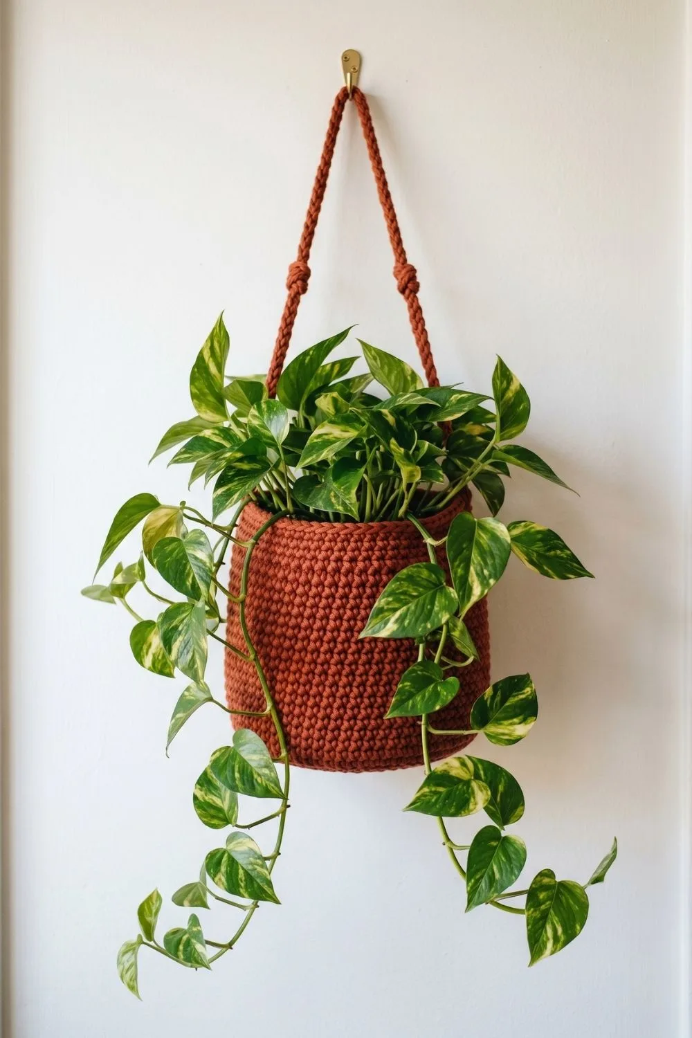 5 Breathtaking Crochet Hanging Baskets to Elevate Your Indoor Garden 1 Close-up of a structured terracotta-colored crochet hanging basket holding a lush golden pothos plant, suspended by a matching cord against a clean white wall.