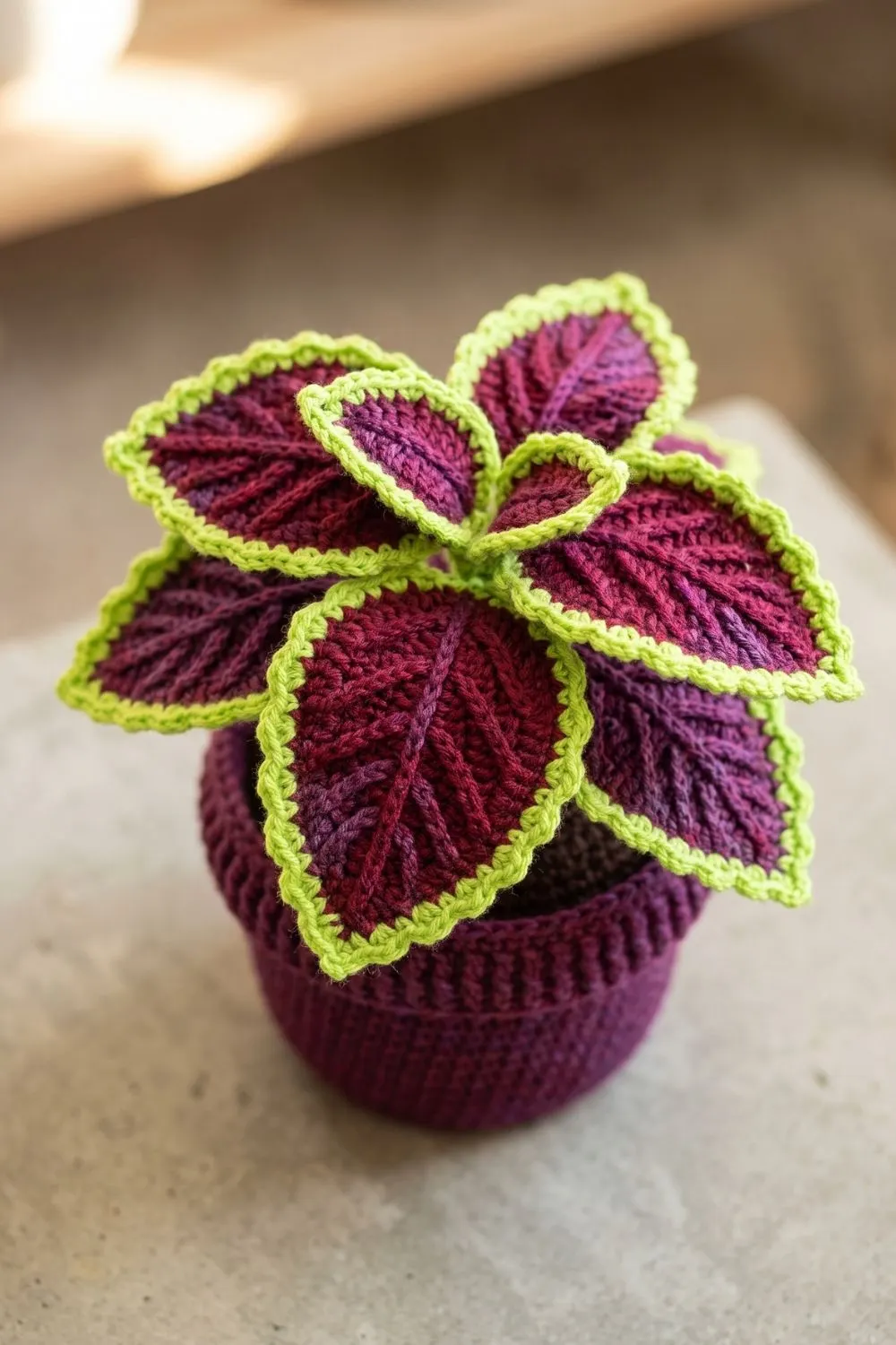 5 Crochet Plant Styles Dominating Pinterest Right Now 2 Close-up of a crochet coleus plant with deep burgundy-purple ribbed leaves and neon green scalloped edging in a matching dark pot